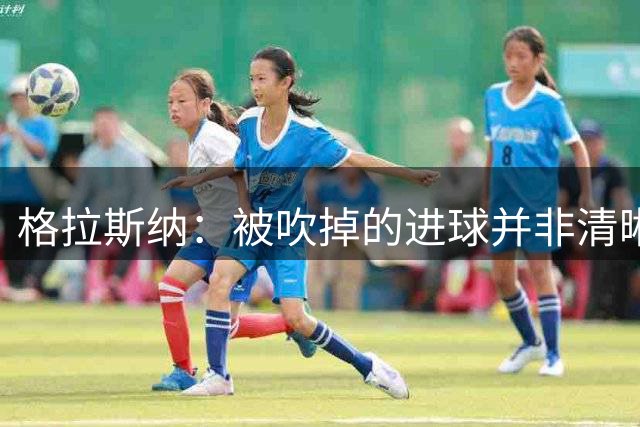 格拉斯纳：被吹掉的进球并非清晰明显的手球，我们仿佛丢掉了2分